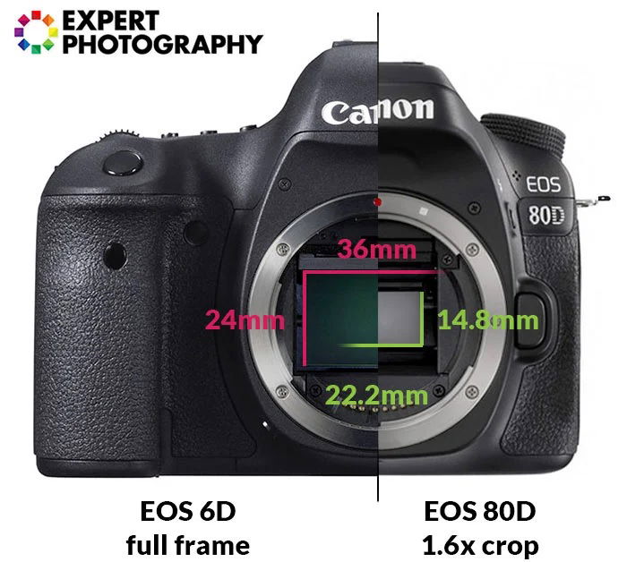 A full-frame and a APS-C camera next to each other for comparison