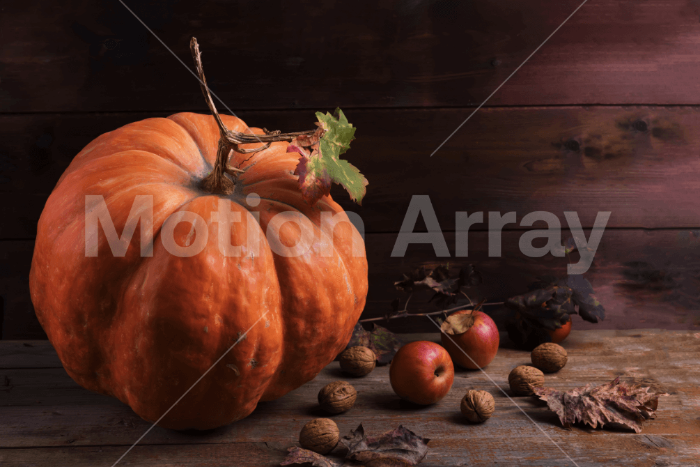 thanksgiving food photos