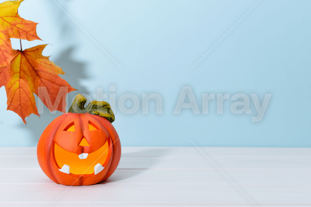 thanksgiving stock photos