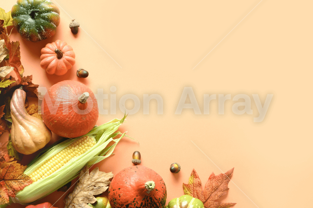 Thanksgiving Holiday Composition