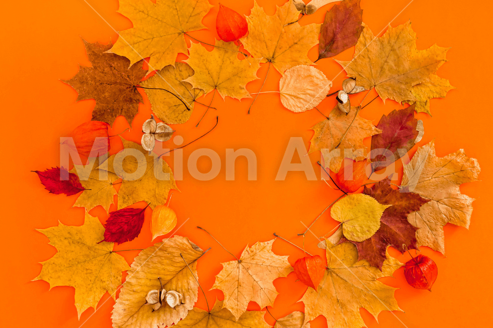 thanksgiving images