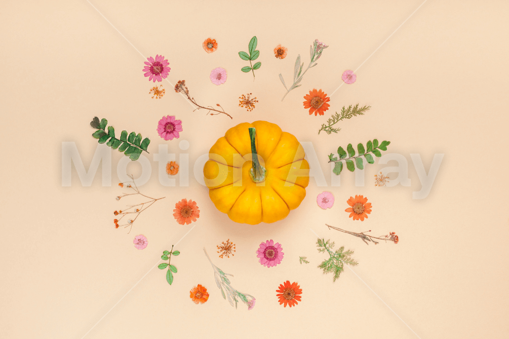 pumpkin